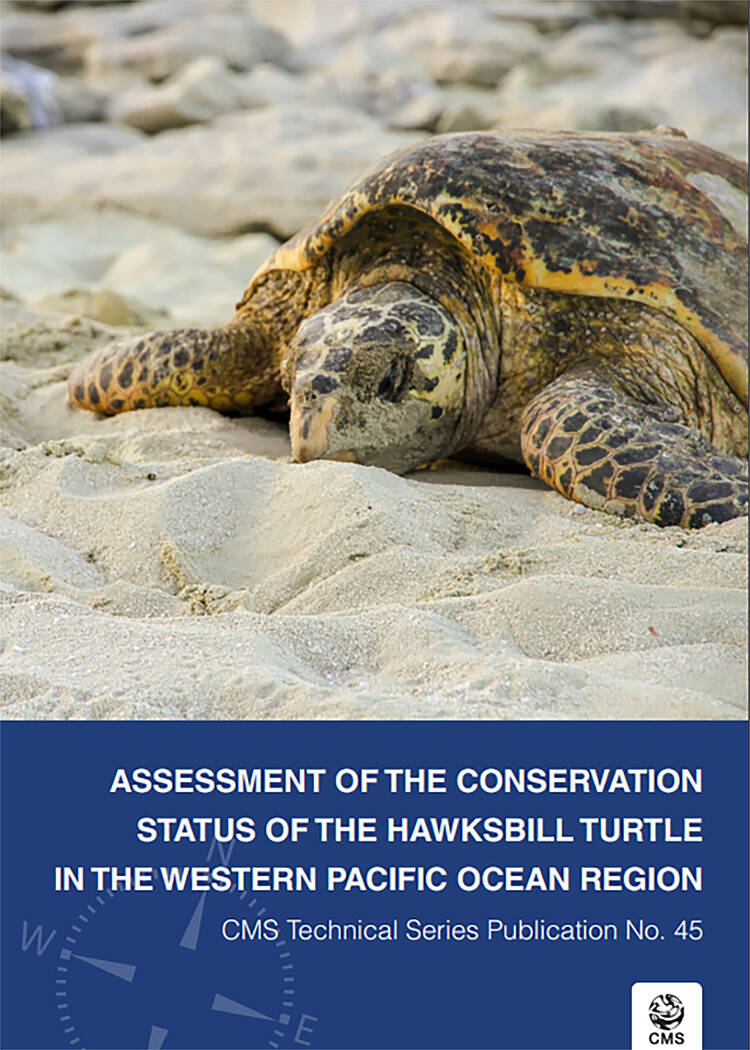  Latest Assessment of Hawksbill Turtles in Western Pacific Ocean 