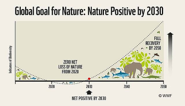  Nature positive graph 