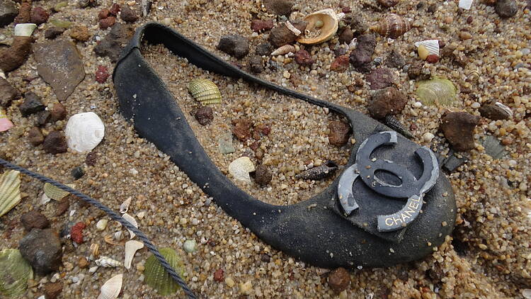  Marine plastic debris scattered across a beach on Phu Quoc Island, Vietnam. 
