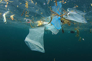 plastic bag and rubbish floating in ocean 