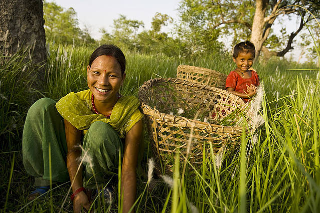  Women cutting grass. The grasslands are managed by the Community Co-ordination Forest Committee (CFCC). The land was previously grazed on, leaving it barren and bereft of life. Through sustainable management the area has now been regenerated. The CFCC was established with the help of WWF and allows communities to manage their own forests/grasslands in a sustainable manner. Khata, Royal Bardia National Park buffer zone, western Terai, Nepal. 