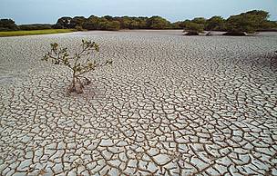 Severe droughts might double in South-Asia over the coming years.