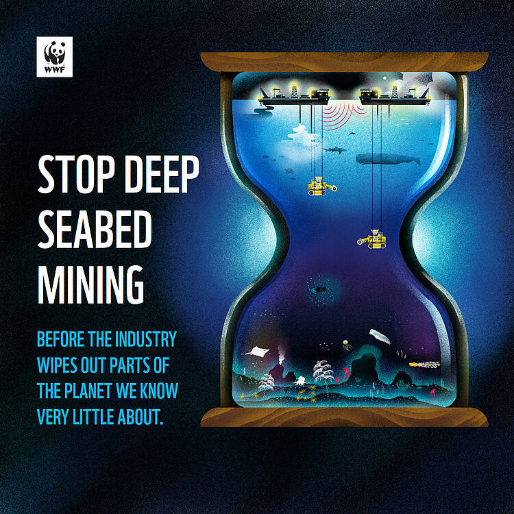  Stop deep seabed mining illustration 