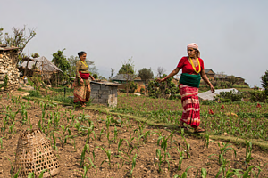 Promoting Women's leadership in community-based natural resource management in Nepal 