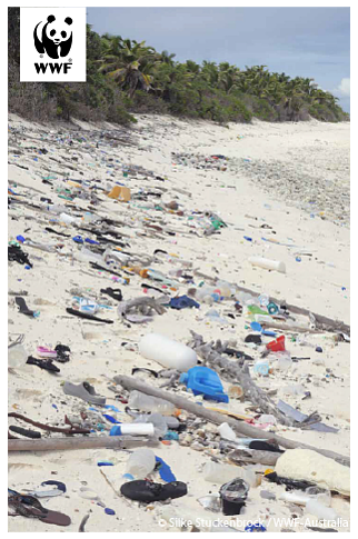  Plastic pollution on beach 