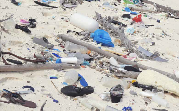  Plastic pollution on beach 