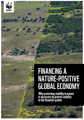 Financing a Nature-Positive Global Economy 
© WWF