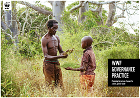 WWF Governance Practice Brochure 2022 
© WWF