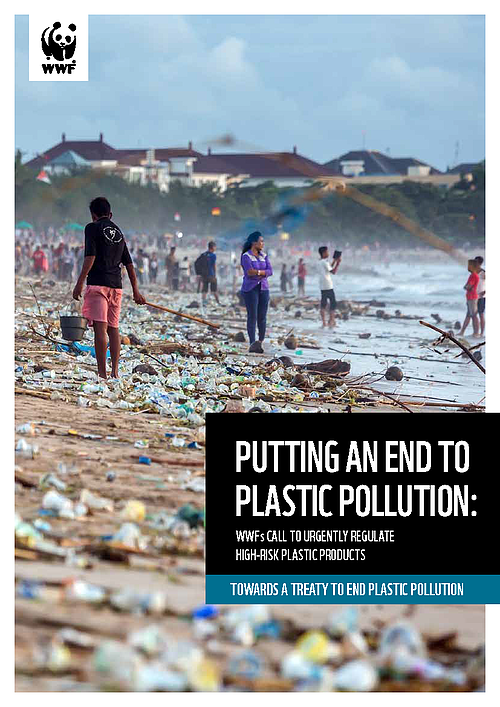 Publication cover page - WWF - Putting an end to plastic pollution summary 
© Shutterstock